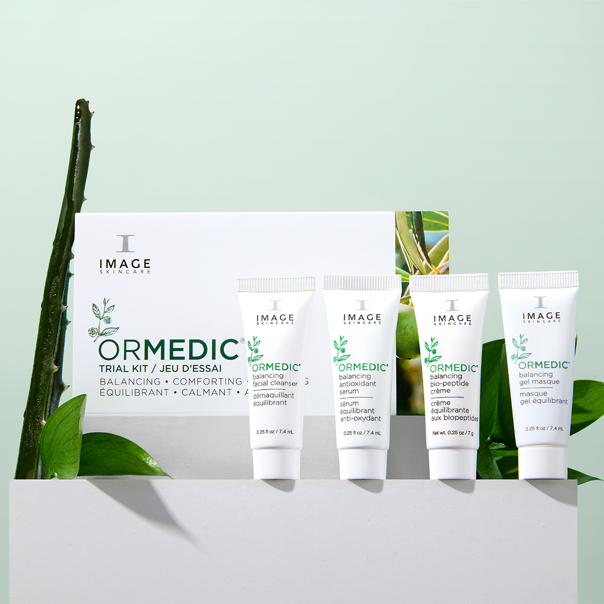 IMAGE Ormedic Trial Kit